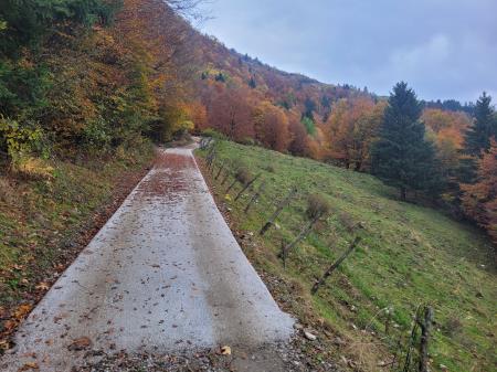 2. Dostopna pot do planin